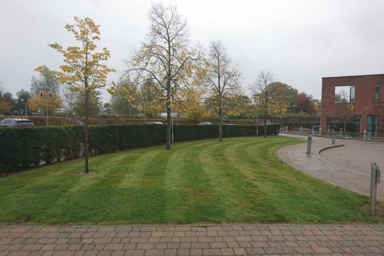 Finished grass area with mature trees on a landscaped site